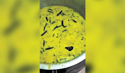 This issue came to light when students took to social media about a rat found in the curd chutney served to them.