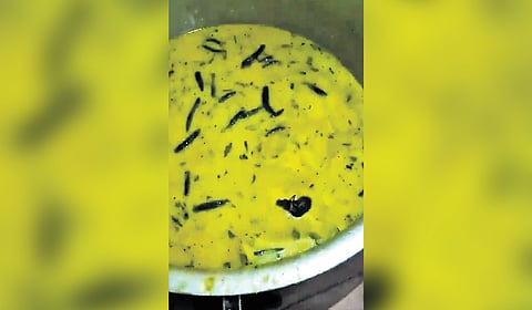 This issue came to light when students took to social media about a rat found in the curd chutney served to them.