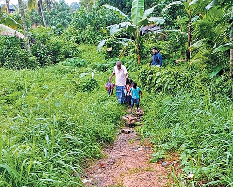 Revenue department sits on land transfer, Infopark residents’ wait for road continues