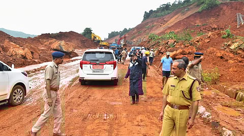 The coconut palms destroyed in the recent landslide at Ulluvare village