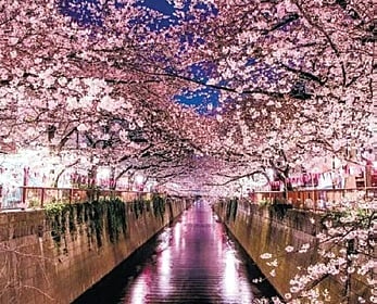 Representative photo