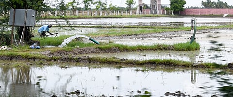 Representative image  