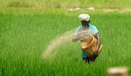 Image used for representational purpose.