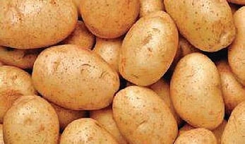 Image used for representative purposes only.