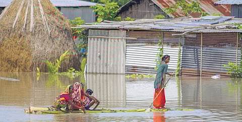 16.5 lakh people hit by Assam floods, toll rises to 56; Kaziranga inundated