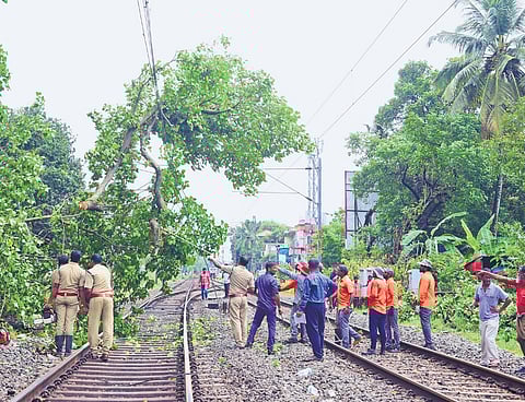 Fire and Rescue Services and police personnel clearing the railway route after a portion of a tree fell on the tracks near Pachalam on Sunday 