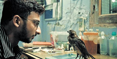 A still from 'All That Breathes'