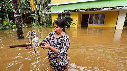 Kerala rains