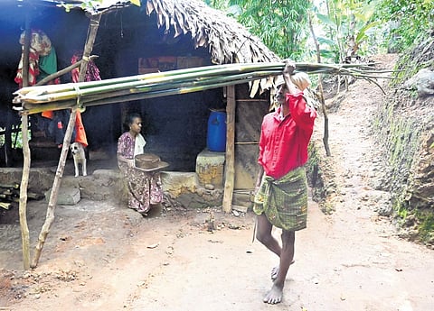 Shivanandan Kani, 56, with bamboos collected from the forest at a tribal settlement in  Charupara