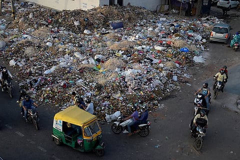 NGT seeks govt reply on bacteria in water supply