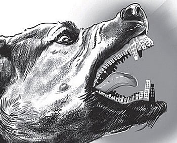 Representative Image