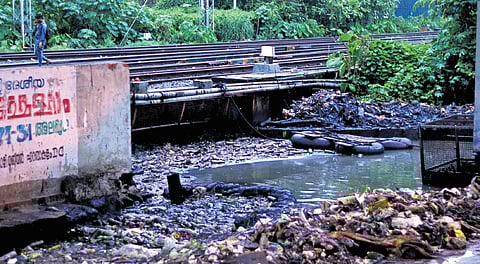 Waste accumulated near the tracks at North railway station