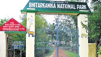 Bhitarkanika national park