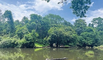 About 95% of the Kuttampuzha panchayat is either forest or waterbodies.