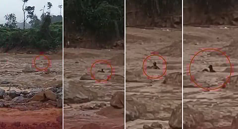 Rescue workers at the landslide area in Wayanad