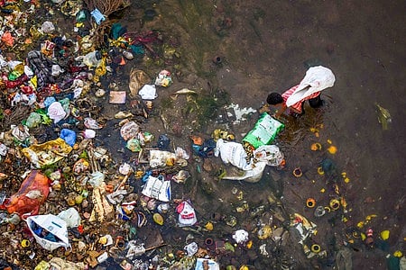 A man collects scraps from the polluted Daya river in Bhubaneswar
