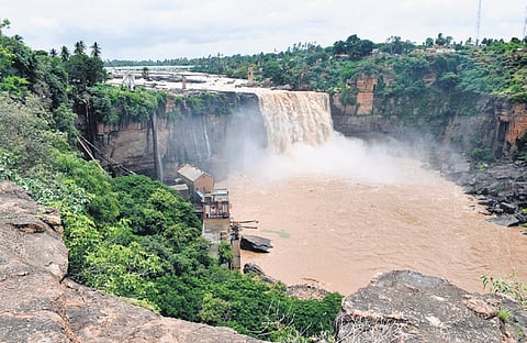 The Gokak Falls in its full splendour on Friday as Ghataprabha river swells following heavy rain in Belagavi district 