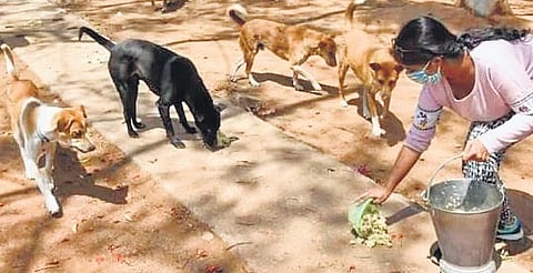 Representational image