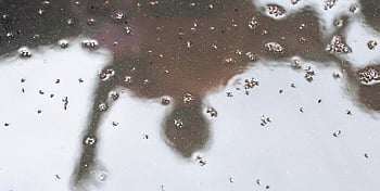 Representational image