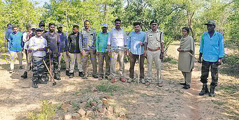 Forest department officials have confirmed the entry of a male tiger into the Veligonda forest area in Nellore district.