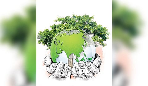 Kochi corporation plans to prepare a comprehensive local area plan that will also take into consideration the environment-related issues faced by the city