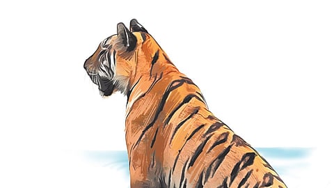 Image used for representative purposes only.