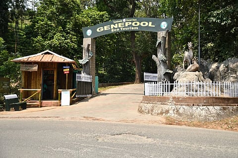 Genepool Ecopark at Nadugani