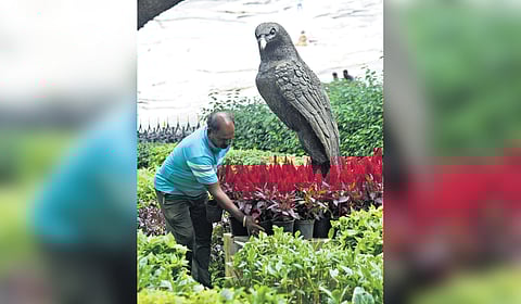 Reparations for the annual flower show at Lalbagh on in full swing.