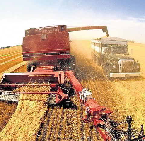 Greenhouse emissions from agri sector comes down in 2 decades, says Centre