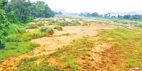 Deficit rainfall sparks drought fear in Odisha's Ganjam