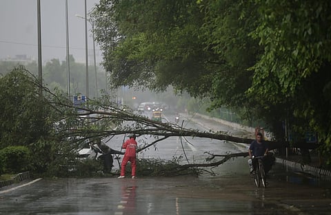 IMD Director General of Meteorology said Mayur Vihar received the highest rainfall of 147 mm.