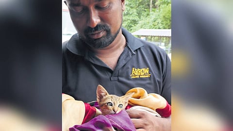 A doctor at the animal husbandry department’s control room at Chooralmala attending to a rescued cat on Monday 