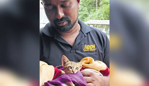  A wild chameleon is among the numerous lives saved by the rescuers at the landslide site at Meppadi in Wayanad. 