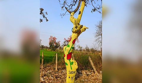 A painted tree at a roadside in Chhattisgarh