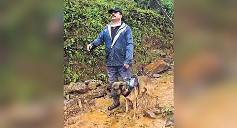 Murphy, a police canine of Kochi city police which is an expert in tracing dead bodies, engaged in a search operation at Mundakkai 