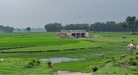 The bridge constructed on farmland    in Bihar's Araria district. 