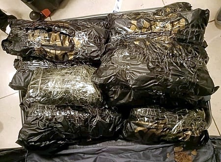 Image used for representative purposes only.