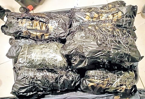 SL agarwood, oil worth Rs 50L seized in Chennai airport, two arrested