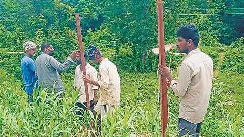 Tamil Nadu forest officials sensitise loco pilots to elephant behaviour