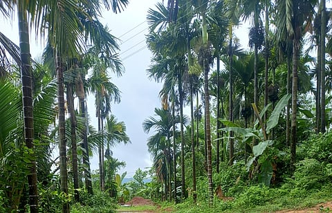 Image used for representational purposes.