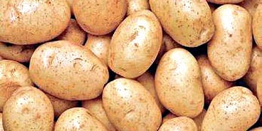 With procurement from Uttar Pradesh also trickling down, the fast depleting stocks of the spud in Odisha have kept vegetable markets on fire.