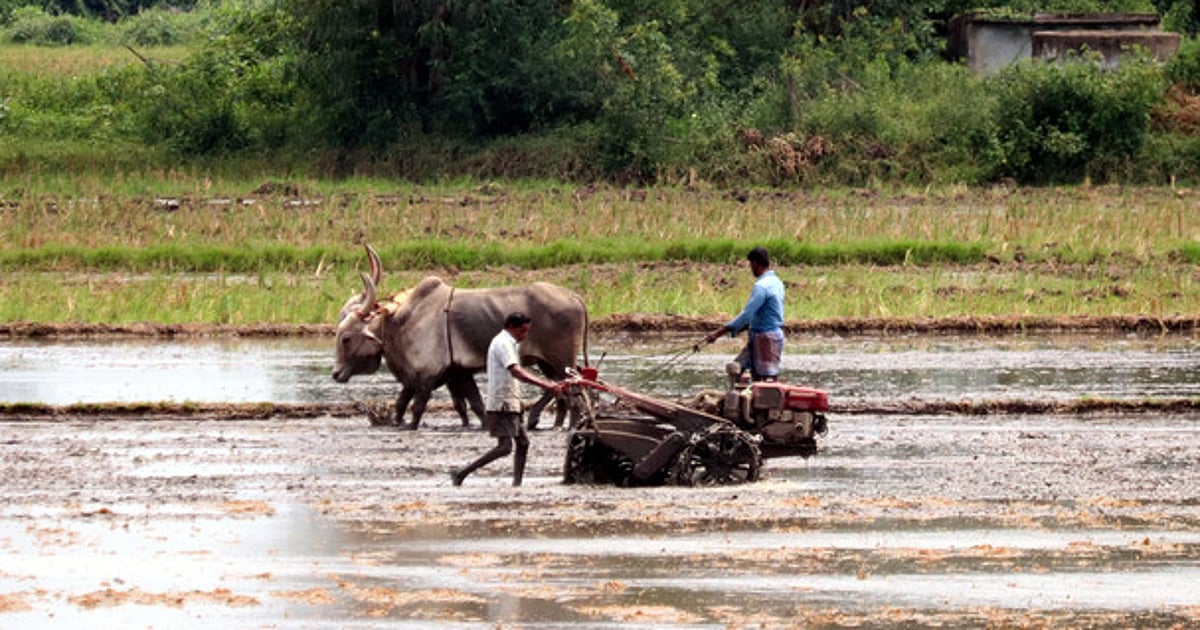 India needs 136.49 billion dollars annually to support farmers against climate change: Report