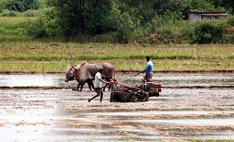 Representative image