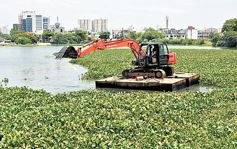 As a part of monsoon preparedness work, Water Resource Department staff clearing water hyacinths at Narayapuram lake in Pallikaranai 