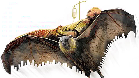 Kerala contains Nipah outbreak: 472 people cleared, restrictions lifted 