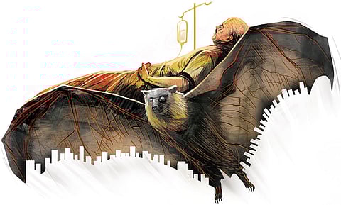 Image used for representation.
