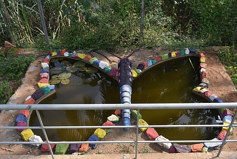 Butterfly Park, near the Vellalore Tank