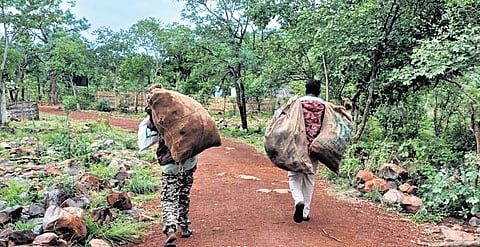 Forest staff clearing litter thrown by the public deep inside the NSTR 