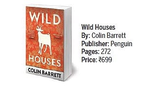 'Wild Houses' book review: Establishes Colin Barrett as one of the finest writers from contemporary Ireland