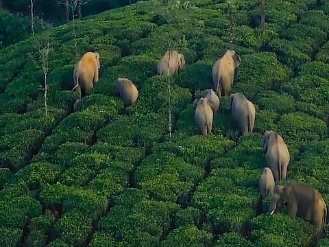 Police said a case of unnatural death would be registered in connection with the incident.